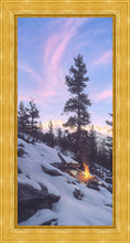 Load image into Gallery viewer, Firedance