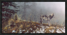 Load image into Gallery viewer, Silent Snows