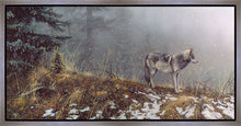Load image into Gallery viewer, Silent Snows