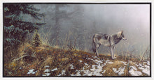 Load image into Gallery viewer, Silent Snows