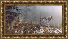 Load image into Gallery viewer, Silent Snows
