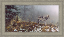 Load image into Gallery viewer, Silent Snows