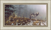 Load image into Gallery viewer, Silent Snows