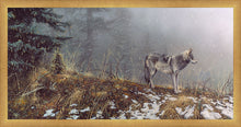 Load image into Gallery viewer, Silent Snows