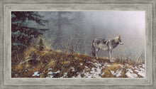 Load image into Gallery viewer, Silent Snows