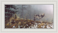 Load image into Gallery viewer, Silent Snows