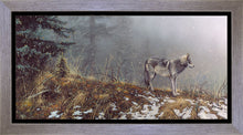 Load image into Gallery viewer, Silent Snows
