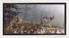 Load image into Gallery viewer, Silent Snows