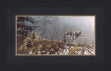 Load image into Gallery viewer, Silent Snows