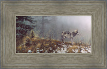 Load image into Gallery viewer, Silent Snows