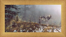Load image into Gallery viewer, Silent Snows