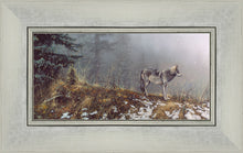 Load image into Gallery viewer, Silent Snows