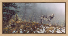 Load image into Gallery viewer, Silent Snows