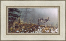 Load image into Gallery viewer, Silent Snows