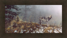 Load image into Gallery viewer, Silent Snows