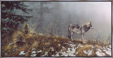 Load image into Gallery viewer, Silent Snows