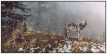 Load image into Gallery viewer, Silent Snows