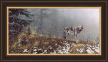 Load image into Gallery viewer, Silent Snows