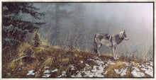 Load image into Gallery viewer, Silent Snows