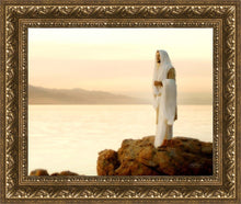 Load image into Gallery viewer, Light of the World