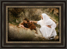Load image into Gallery viewer, The Comforter