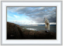 Load image into Gallery viewer, Alone Shepherd