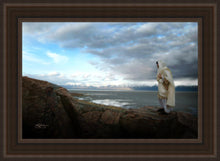 Load image into Gallery viewer, Alone Shepherd