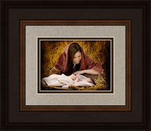 Load image into Gallery viewer, A Mother's Love