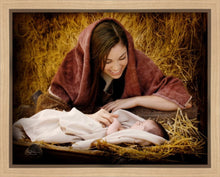Load image into Gallery viewer, A Mother's Love