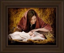 Load image into Gallery viewer, A Mother's Love