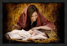 Load image into Gallery viewer, A Mother's Love