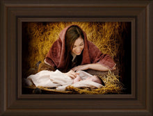 Load image into Gallery viewer, A Mother's Love