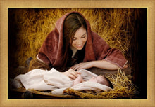 Load image into Gallery viewer, A Mother's Love