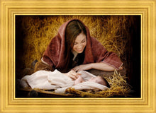 Load image into Gallery viewer, A Mother's Love