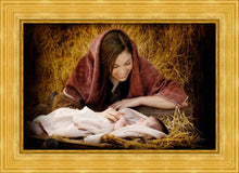 Load image into Gallery viewer, A Mother's Love