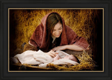 Load image into Gallery viewer, A Mother's Love