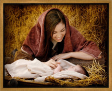 Load image into Gallery viewer, A Mother's Love
