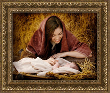 Load image into Gallery viewer, A Mother's Love