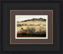 Load image into Gallery viewer, In Search of the One