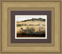 Load image into Gallery viewer, In Search of the One