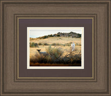 Load image into Gallery viewer, In Search of the One