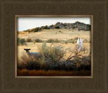 Load image into Gallery viewer, In Search of the One