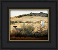 Load image into Gallery viewer, In Search of the One