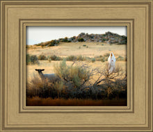 Load image into Gallery viewer, In Search of the One