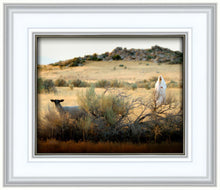 Load image into Gallery viewer, In Search of the One