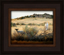 Load image into Gallery viewer, In Search of the One