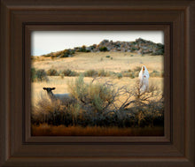 Load image into Gallery viewer, In Search of the One