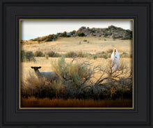 Load image into Gallery viewer, In Search of the One