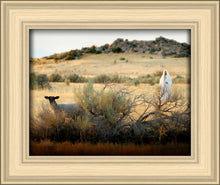 Load image into Gallery viewer, In Search of the One