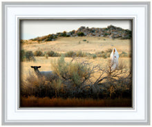 Load image into Gallery viewer, In Search of the One